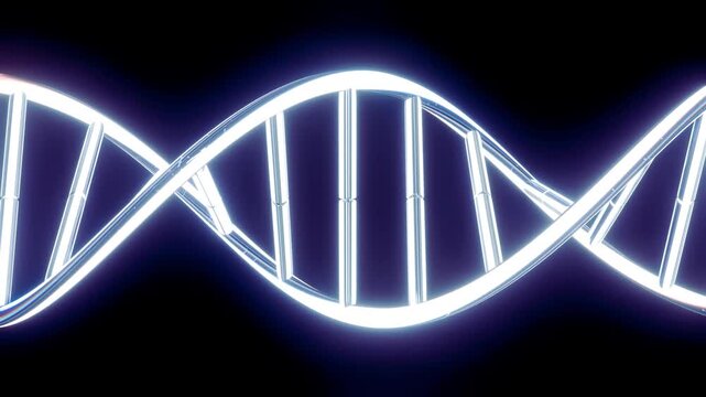 Shiny metallic DNA double helix rotating smoothly against a clean dark background for scientific presentations DNA strand silver helix genetics concept medical graphic biology