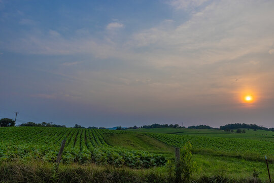 Agricultural lands near Gray, Tennessee, United States