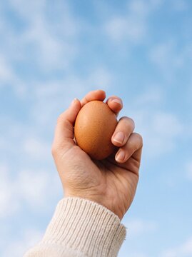 Hand holding a fresh brown egg toward the blue sky