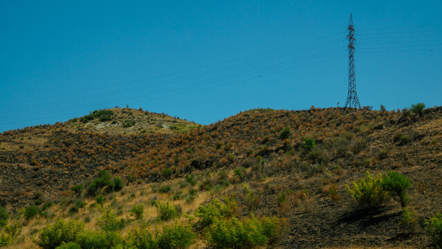 Goat Herd Climbing a Rugged Hillside in Southern Albania