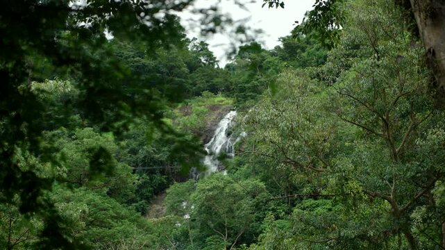 Beautiful waterfall flowing through a lush forest. The natural water source highlights clean water, nature conservation and biodiversity while supporting a healthy ecosystem and sustainable future.

