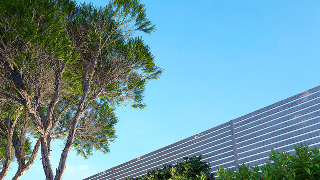 3D rendering of an outdoor architectural exterior detail showing a low angle view of a lush green tree and a modern horizontal slatted wooden privacy fence against a bright clear blue sky with copy sp