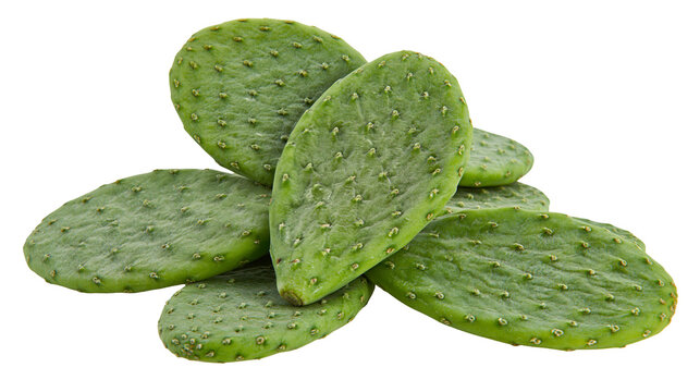 Pile of green prickly pear cactus pads nopalitos, isolated on transparent background