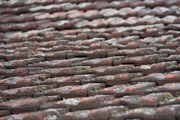 Old roof © Ognjen