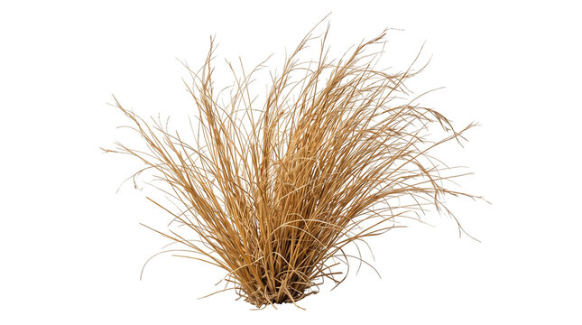 A dense mound of dried golden brown ornamental grass showcasing fine withered blades and a rustic natural texture, perfect for autumn landscape and garden designs.