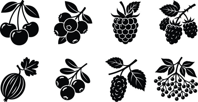 Black Fruit and Berry Botanical Icon Set Featuring Cherries Raspberries Blackberries Gooseberry and Elderberries