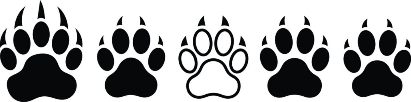 Set of black bear paw prints and claw marks vector illustration with paw print animal tracks foot step paw pad