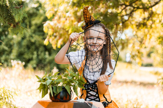 Girl With a Spiderweb and Pumpkin Celebrating Halloween in Autumn