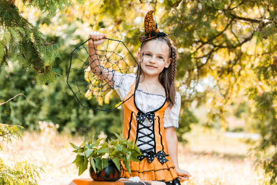 Girl Holds a Spiderweb Decoration While Dressed for Halloween in Autumn With Pumpkins Around Her During October in a Sunny Outdoor Setting