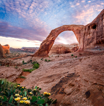 Corona Arch Sunset