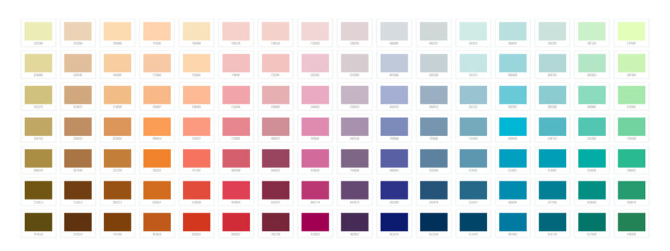 Color palette chart with pastel, bright and dark swatches with hex code for design, art, fashion, interior