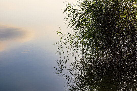 Spiegelung mit See und Schilf in Seedorf am Schaalsee