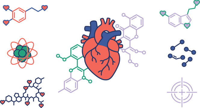 Human Heart Anatomy and Hormone Chemical Molecule Structure Icon Set for Biochemistry Cardiology and Neuroscience Designs