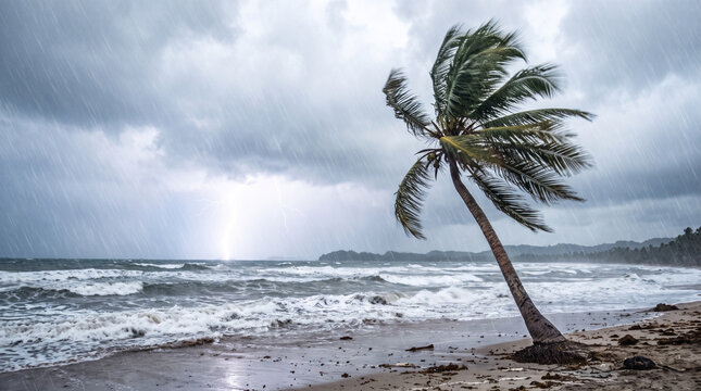 Tropical storm with heavy rain and lightning over a stormy ocean beach with a single leaning palm tree under dark dramatic clouds