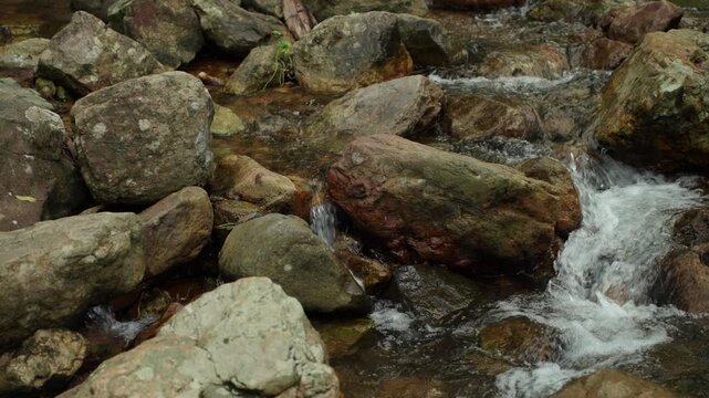 Clear stream flowing over small rocks in a lush forest. Freshwater sustains life and nature while highlighting water conservation biodiversity and environmental protection for a sustainable future.
