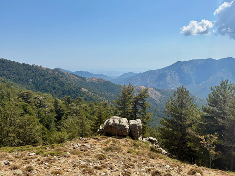 Paysage forestier sur le GR20 entre Vizzavona et Capannelle en Corse