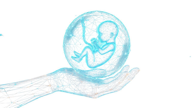 Digital illustration of a human fetus inside a glowing protective sphere held by a wireframe hand, representing prenatal care and medical technology isolated on transparent background