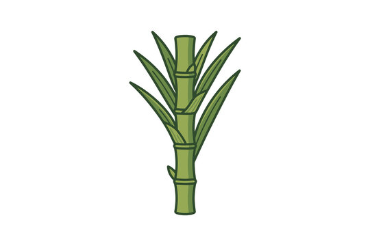 Sugarcane Stalk Vector Illustration