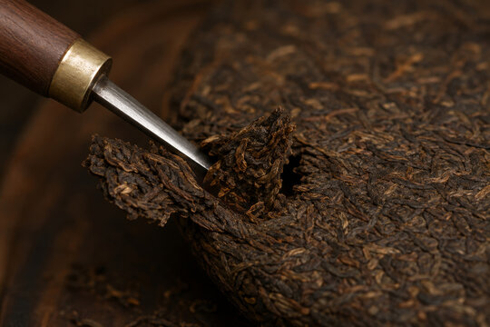 Tea knife breaking piece from pressed pu-erh tea cake. Traditional Chinese tea ceremony preparation. Fermented dark tea leaves closeup. Asian tea culture and healthy drink concept.