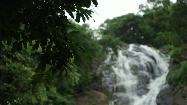 Beautiful waterfall flowing through a lush forest. The natural water source highlights clean water, nature conservation and biodiversity while supporting a healthy ecosystem and sustainable future.
