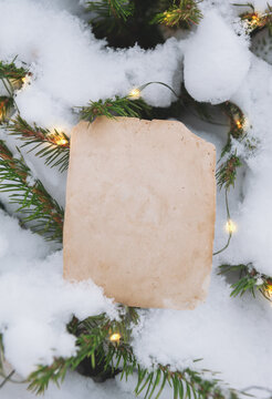 Blank vintage card rests on snowy spruce
