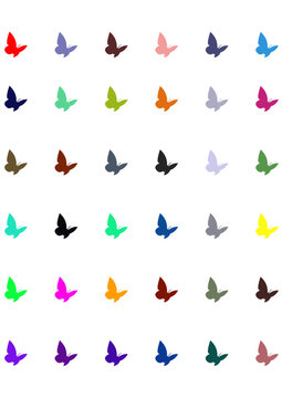 buttefly