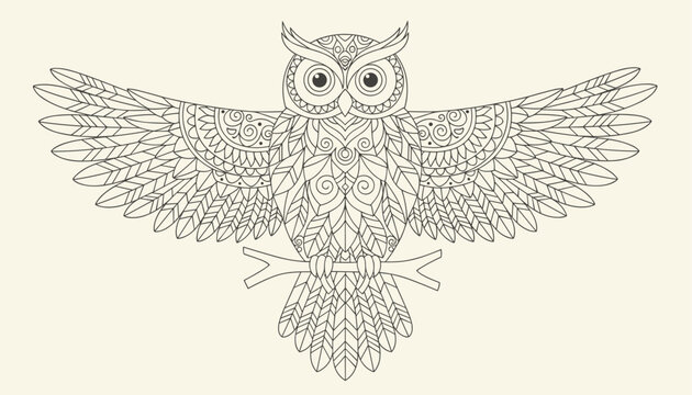 Intricate zentangle owl line art with wings spread wide, perched on a branch, perfect for adult coloring pages.