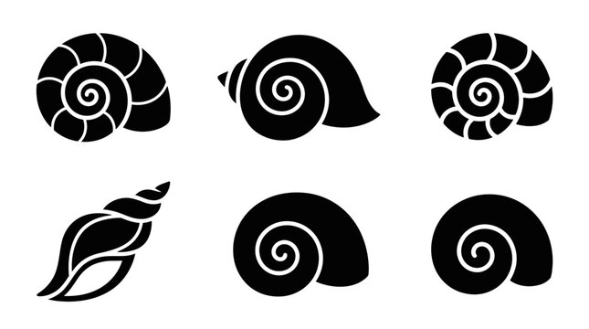 Seashell and snail silhouette icons.