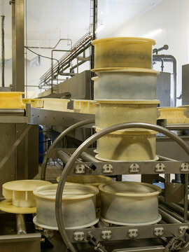 Fabrication du Morbier AOP, fromages dans leurs moules sur une ligne de production d&rsquo;une fromagerie du Jura