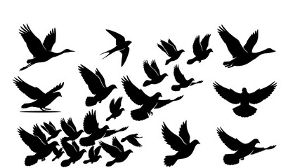 Naklejka premium Black Silhouette Vector Set of Large Migrating Flock of Birds Including Pigeons Doves Geese and Swallows for Nature Freedom and Sky Concept Designs