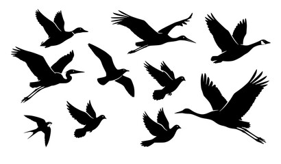 Naklejka premium Black Silhouette Vector Set of Diverse Flying Birds Including Ducks Cranes Geese Herons Seagulls and Pigeons for Wildlife Nature and Migration Concept Designs