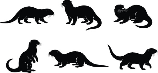 Obraz premium Set of black otter silhouettes in various poses isolated on white background for wildlife design