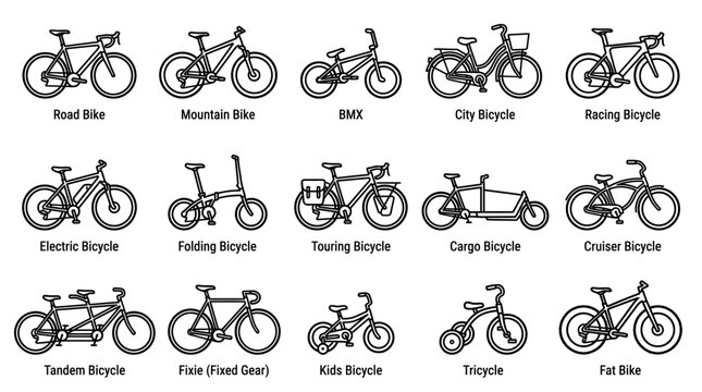 Various types of bicycles illustration
