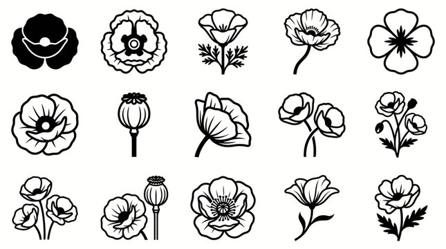 Poppy flower icon collection, hand drawn black and white outlines, vintage line art botanical set, floral tattoo design elements, engraving style vector illustrations