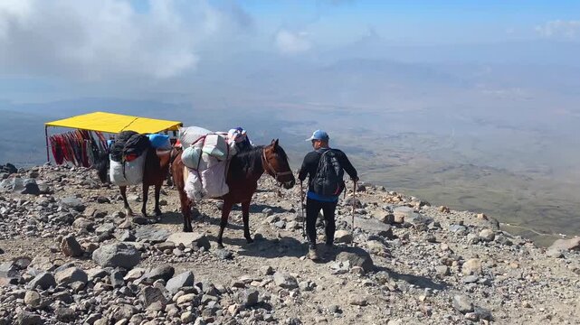 Tourist approaching a souvenir stall on Mount Ararat in Turkey, with pack horses nearby, showing mountain commerce, trekking tourism, local retail, and high-altitude travel culture