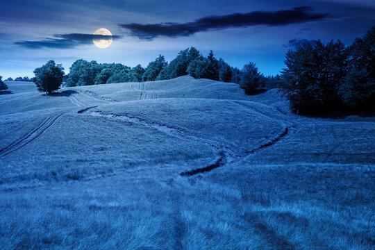 mountainous countryside landscape in late summer at night. full moon over alpine meadow and beech forest on top of a hill. mountain ridge in the distance. mysterious fantasy