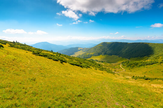 mountainous countryside landscape in summer. grassy meadow on top of a hill. mountain ridge with forested slopes in the distance. sunny weather with clouds on the blue sky