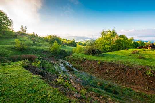 carpathian mountain landscape on a foggy morning. outdoor adventure with stunning view in morning light. countryside landscape with rolling hills, fog and blue sky