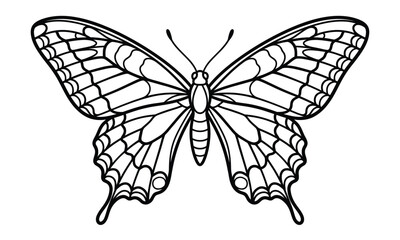 A detailed black and white line art illustration of a beautiful butterfly for coloring book pages © Jahanara