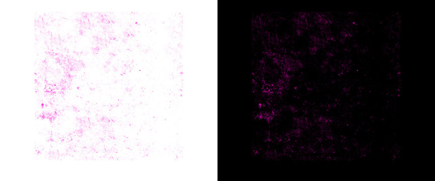 Distressed pink grain texture on white and black backgrounds. Gritty magenta noise overlay. Vintage dusty film effect for graphic design.
