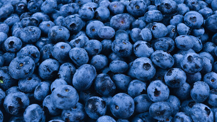 Fresh blueberry background. Texture blueberry berries close up. © Nikolay
