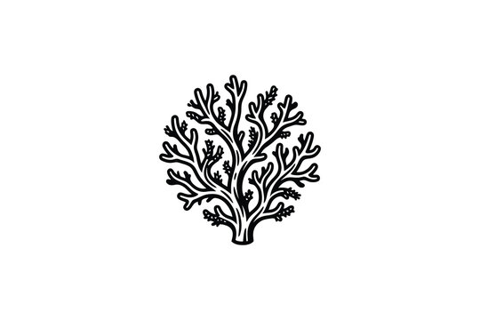 Detailed black and white hand drawn illustration of sea coral.