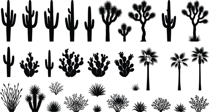 Desert cactus saguaro joshua tree and prickly pear silhouette collection vector set isolated on white background (17 words).eps
