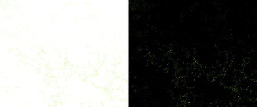 Minimalist split screen background, high contrast white and black texture, abstract grainy surface for modern graphic design