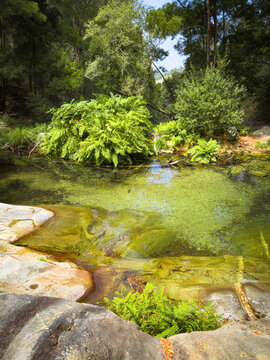 Lush natural pool surrounded by forest in Portugal