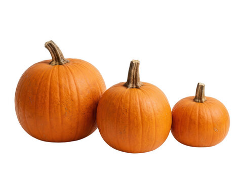 Three orange pumpkins of various sizes isolated on transparent background