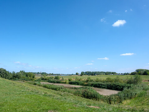 Nature reserve Maneswaard. Opheusden, Gelderland province, The Netherlands