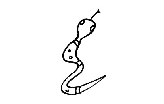Hand Drawn Doodle Snake Icon Vector &mdash; Line Art Reptile Creature for Brush Collection