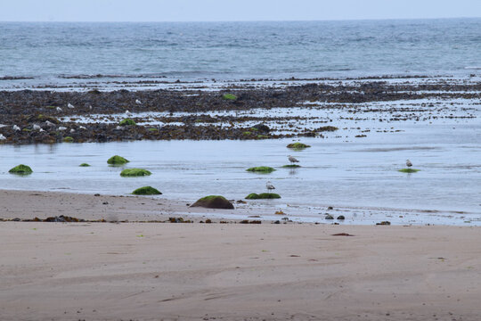 Holy Island beach