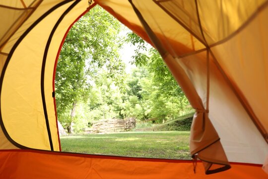 View from inside tent on beautiful forest